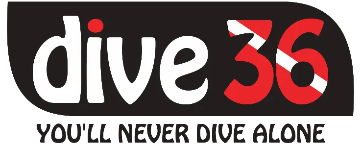 Dive36